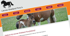 J. Liewes Shetland Pony Livestock